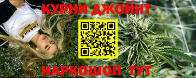 apvp Краснодар
