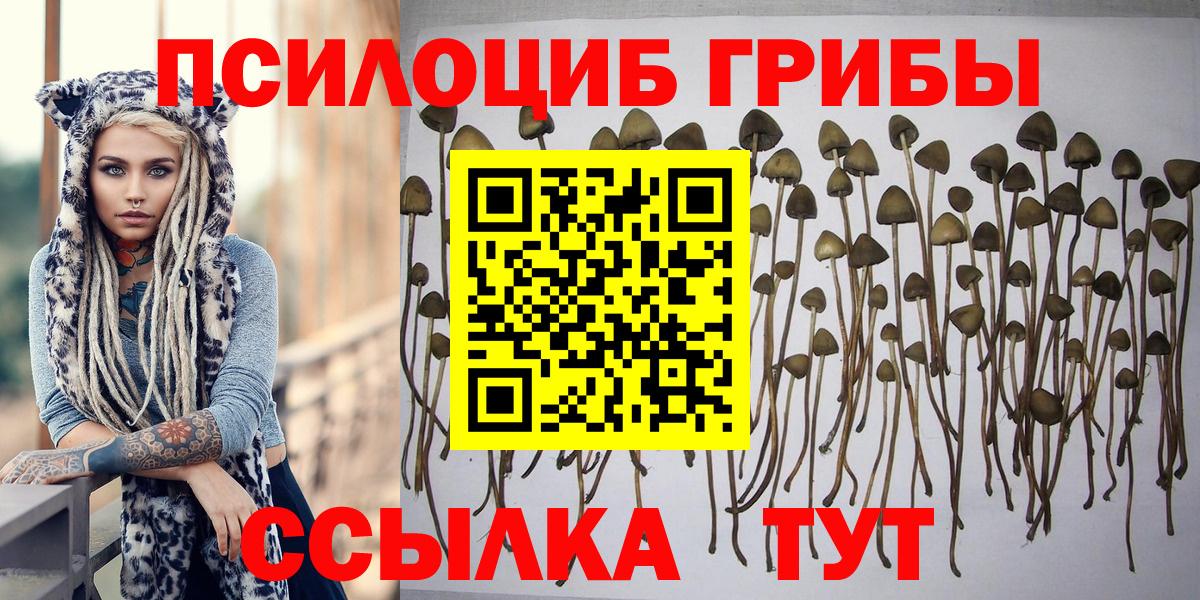 Галлюциногенные грибы GOLDEN TEACHER Красноармейск