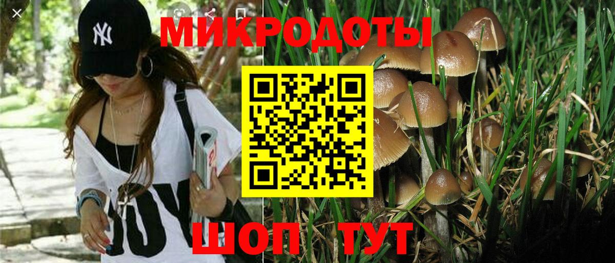 Псилоцибиновые грибы GOLDEN TEACHER  Псилоцибиновые грибы GOLDEN TEACHER  Вход с VPN  Красноармейск 